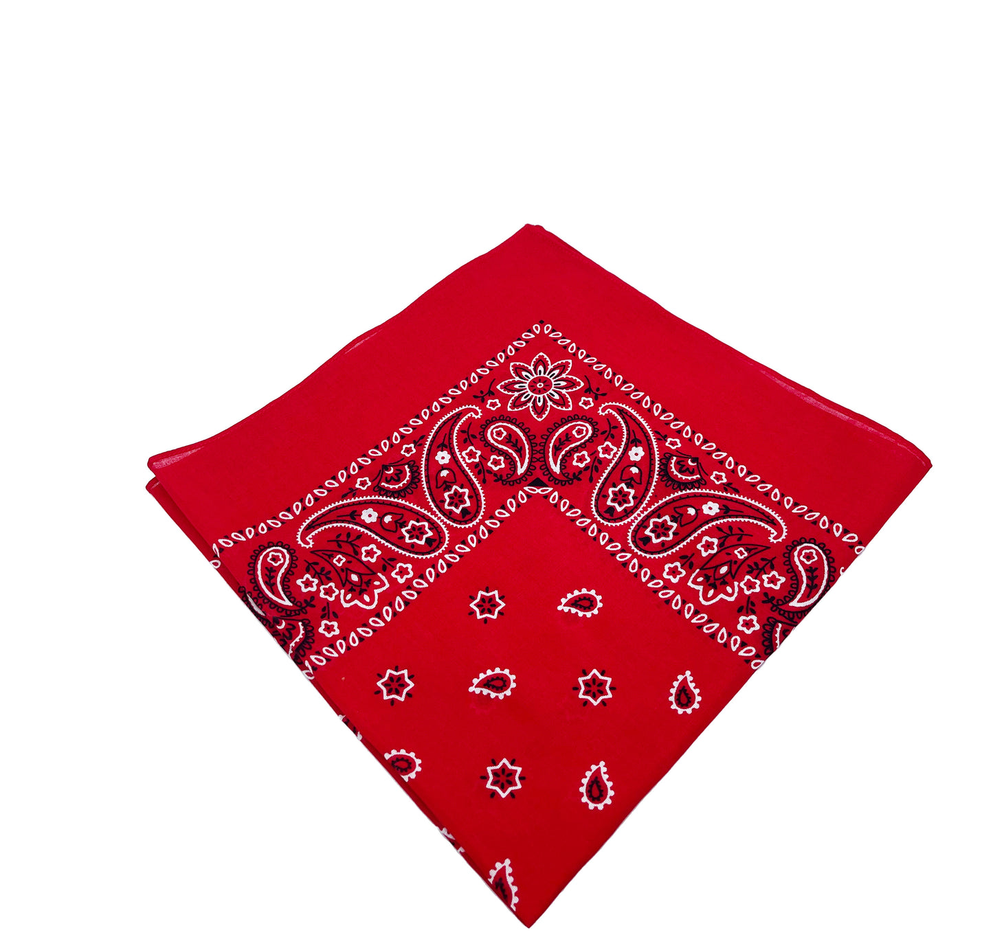 Red Hanky Square.jpg